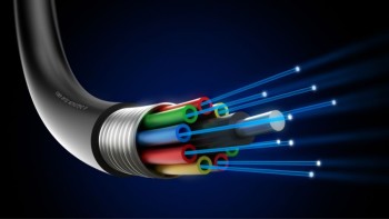 Insights into the Global Market Trends and Challenges in Industrial Cables