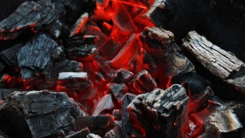Natural Charcoal Dominates as Sustainable and Hardwood Varieties Rise