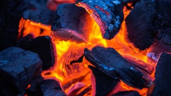 Shaping Eco-Friendly Consumer Trends with Natural Charcoal