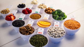Growth in Organic Food Ingredients Market Amid Rising Demand for Natural and Sustainable Products