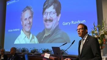 Victor Ambros and Gary Ruvkun win Nobel Prize in Medicine for microRNA gene breakthrough